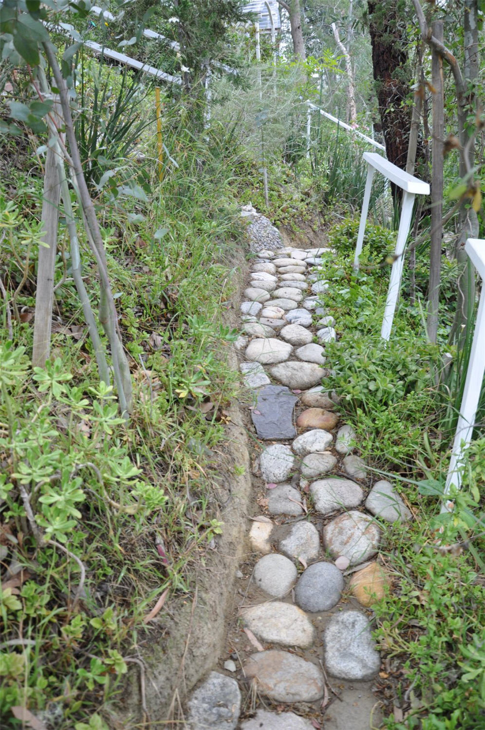 Smooth Rock Pathway
