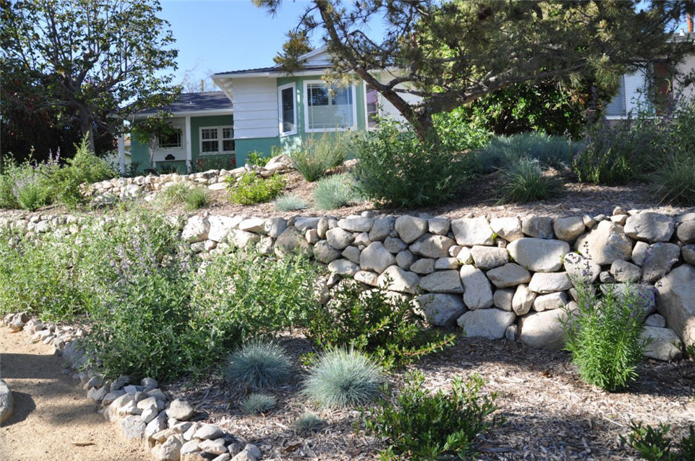 Dry Shade Garden