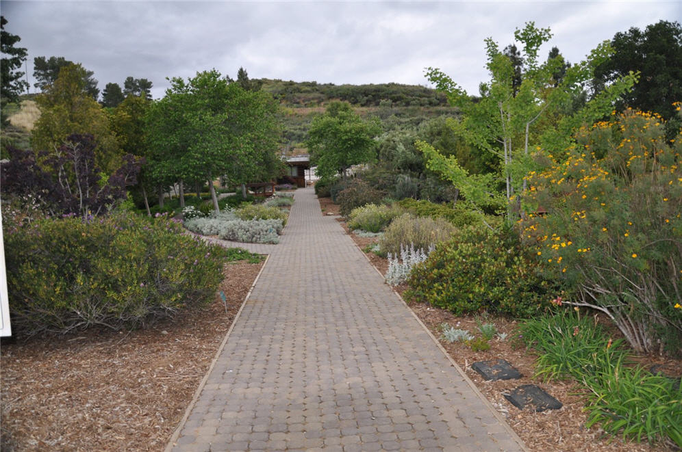 Pathway through Demonstration Garden