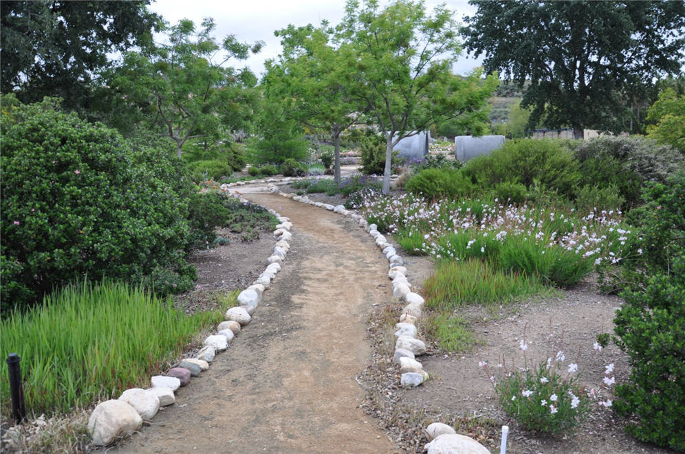 Shrub Border