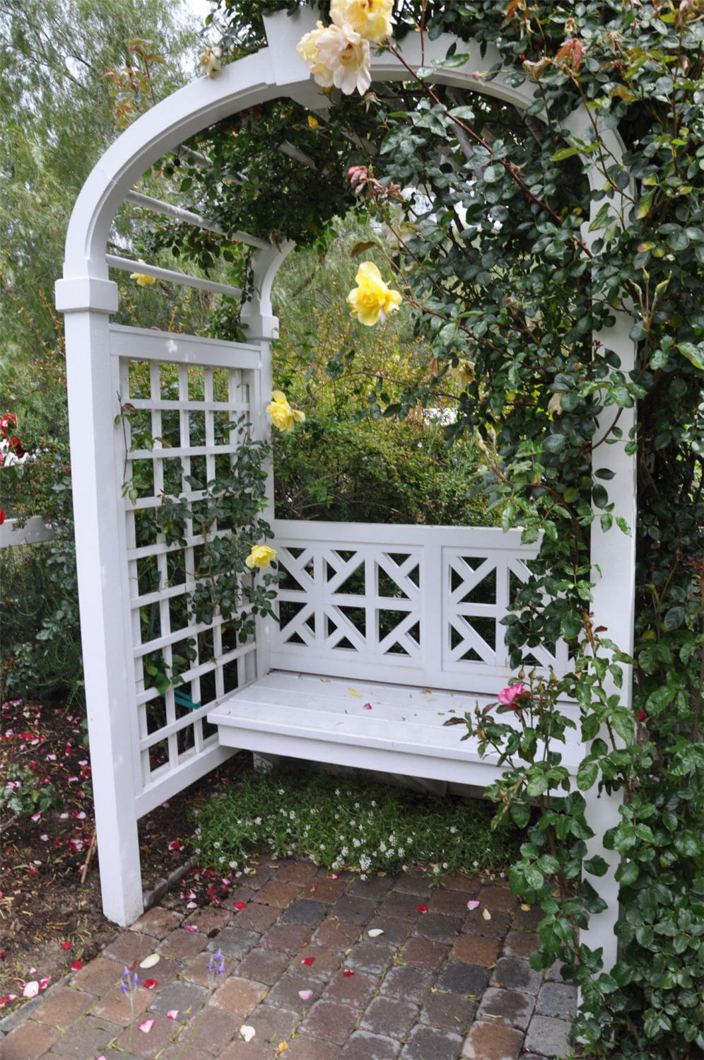 Sitting Area with Climbing Roses