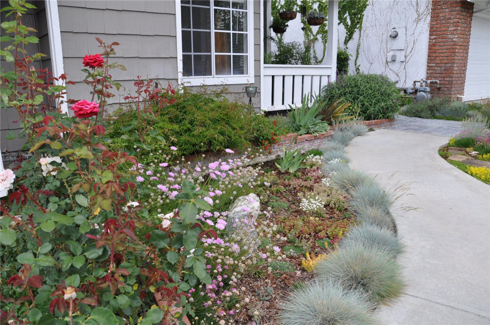 Walkway and Color