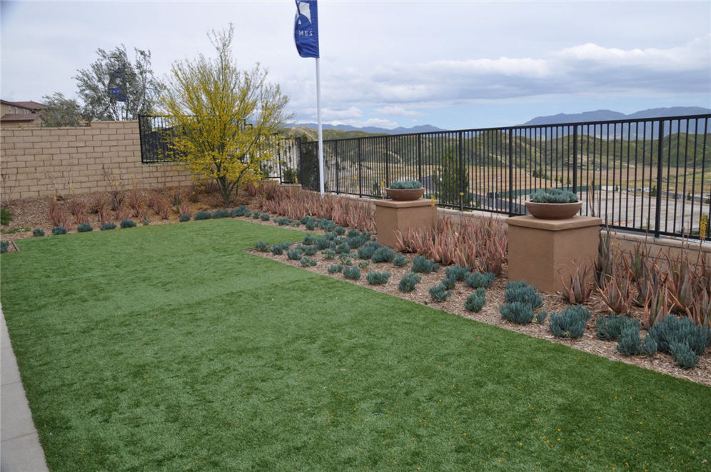 Artificial Turf and View